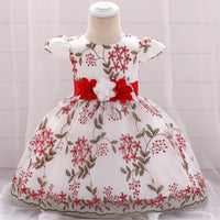 Little Gigglers World Baby Summer Party Outerwear fluffy dress