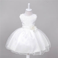 Little Gigglers World Baby Kid Flower Wedding Princess Dress
